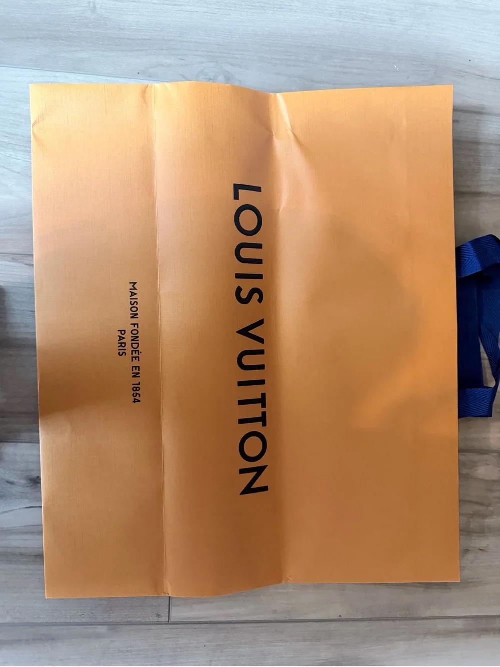 Louis Vuitton Paper Bag